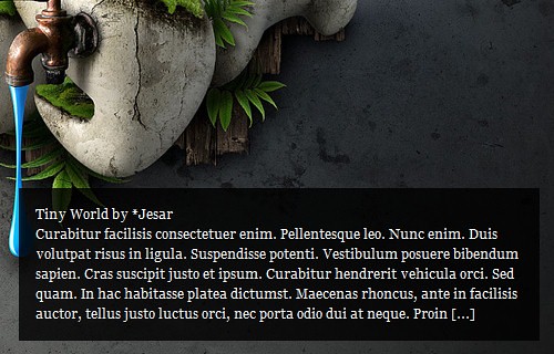 P7.jpg